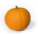Pomarańcza - 45 kcal in 100g